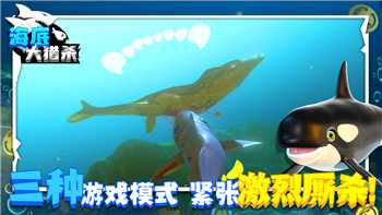 《动物餐厅》海德薇回归倒计时，粉丝狂欢预热！