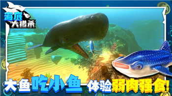 废品机械师入门指南：轻松开启你的环保回收之旅