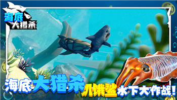 《宝可梦大集结》持有物攻略：如何根据角色特性选对装备，战力飙升！