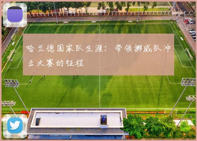 哈兰德国家队生涯:带领挪威队冲击大赛的征程