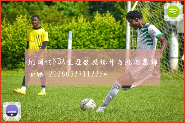 姚明的NBA生涯数据统计与精彩集锦回顾_20260527112254
