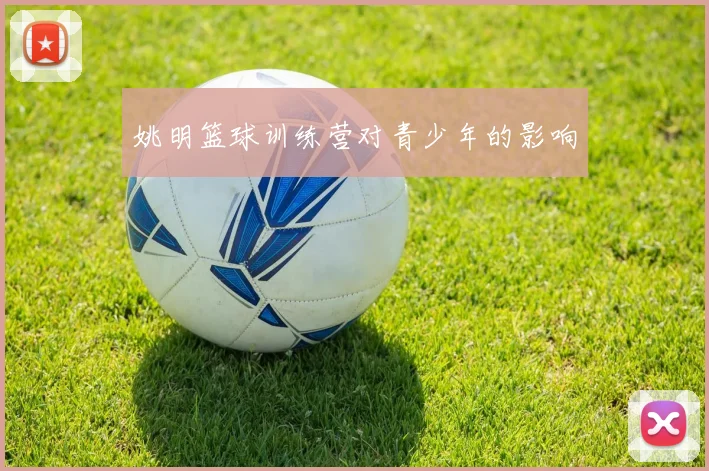 姚明篮球训练营对青少年的影响